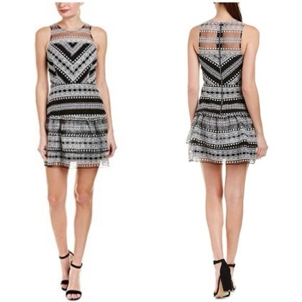 Parker NY Black White Embroidered Lace Mesh Sleeveless Mini Dress P8B3162EPM